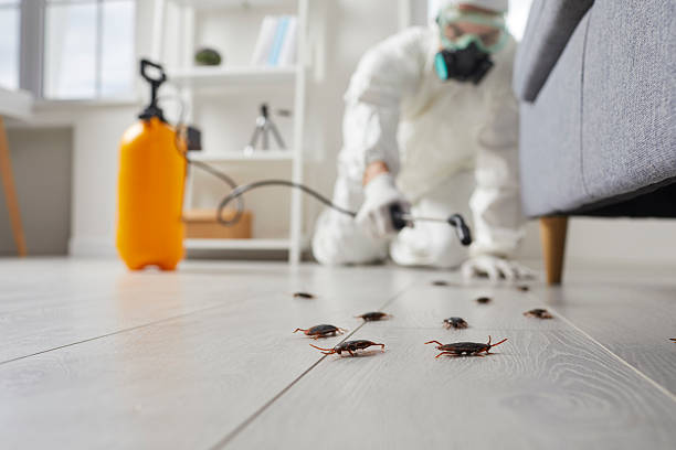 Trusted Rodent Control service in Long Branch, NJ - Nex Pest Control